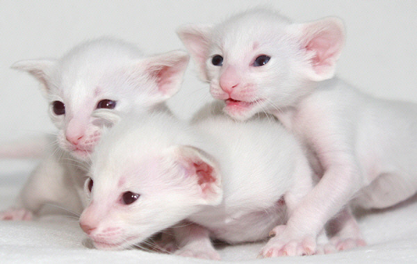 Photo: Carolin Skirl