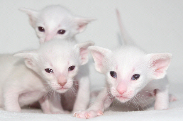 Photo: Carolin Skirl