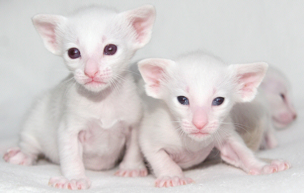 Photo: Carolin Skirl