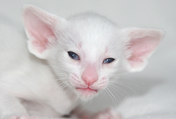 Photo: Carolin Skirl