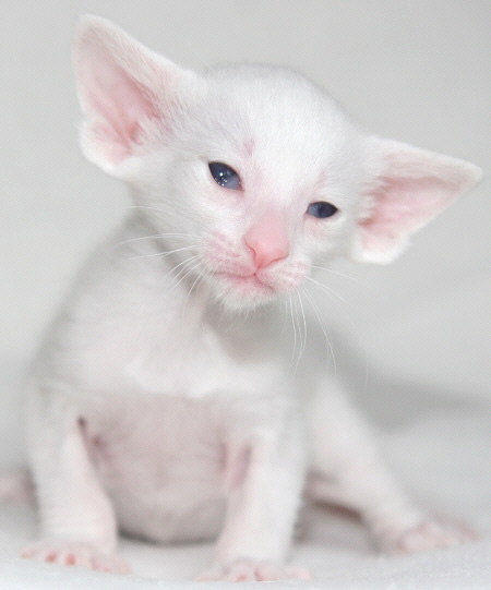 Photo: Carolin Skirl