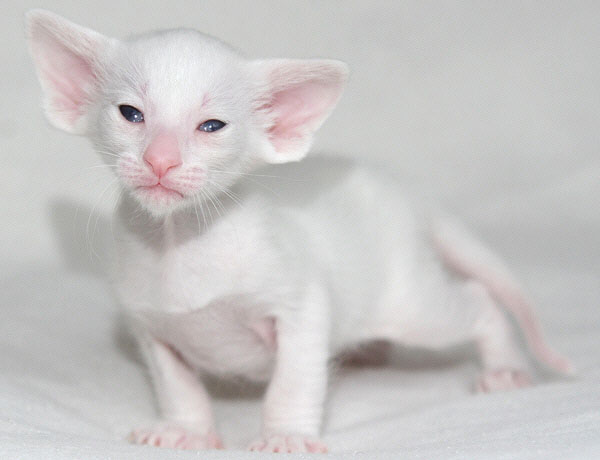 Photo: Carolin Skirl