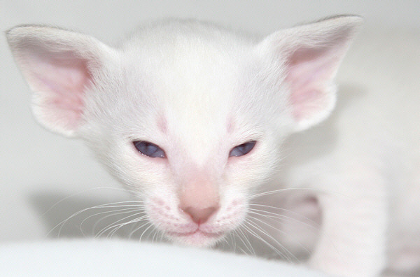 Photo: Carolin Skirl