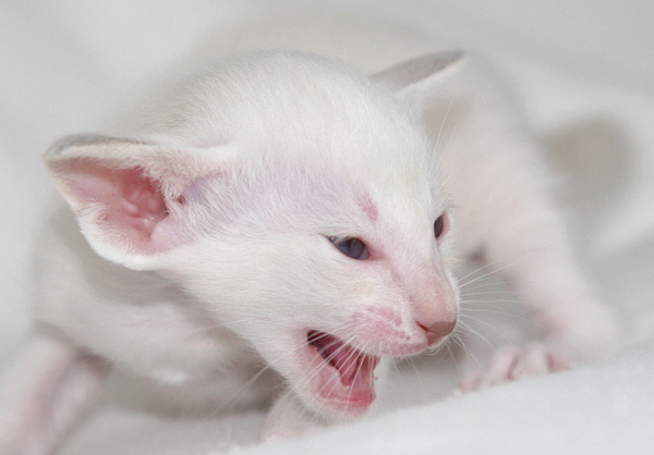 Photo: Carolin Skirl