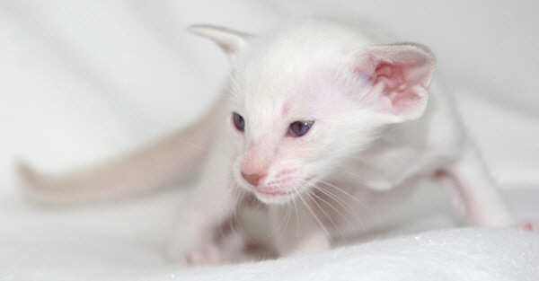 Photo: Carolin Skirl