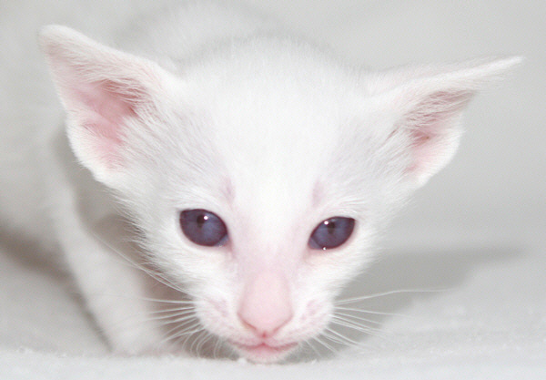 Photo: Carolin Skirl