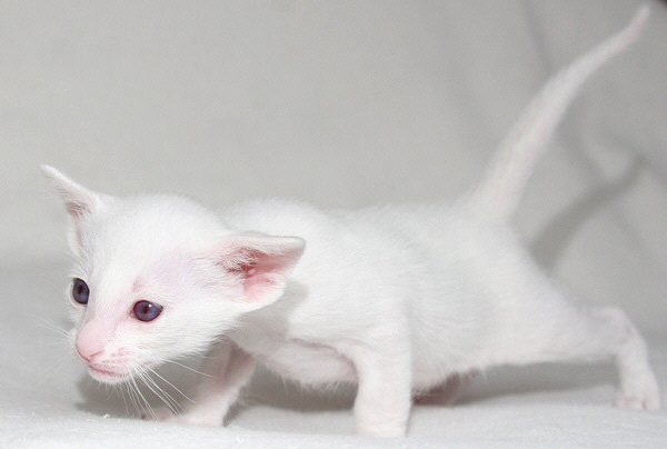 Photo: Carolin Skirl