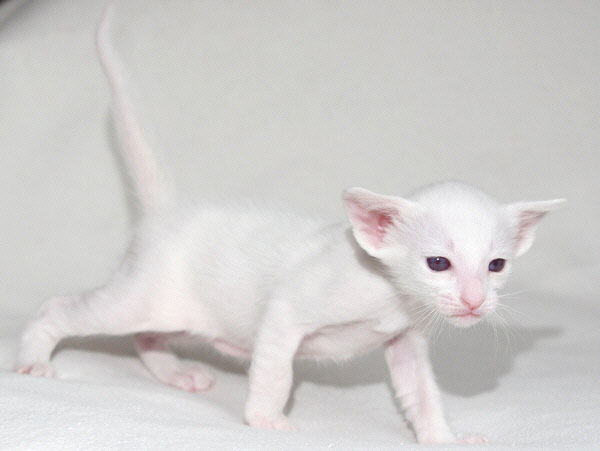 Photo: Carolin Skirl