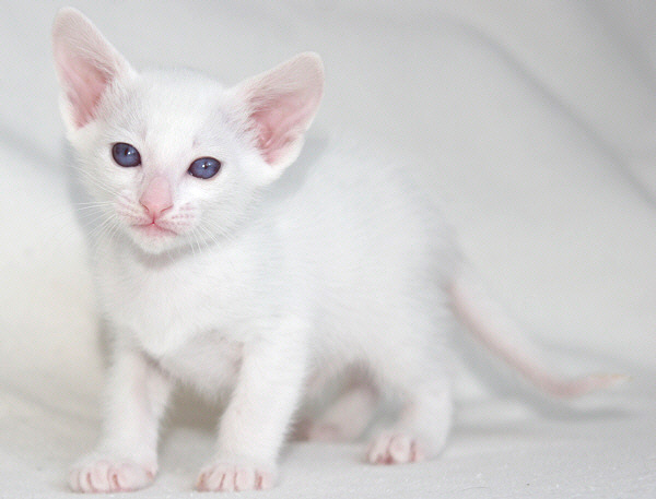 Photo: Carolin Skirl