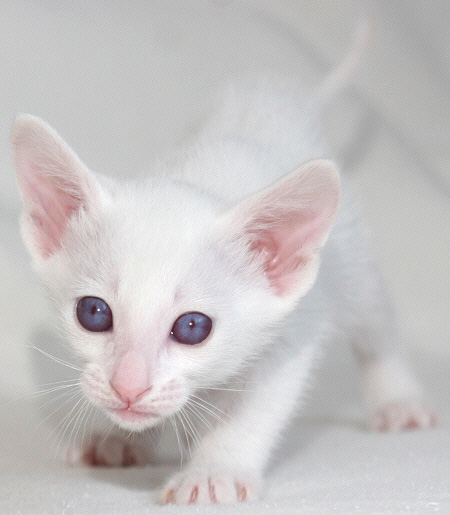 Photo: Carolin Skirl