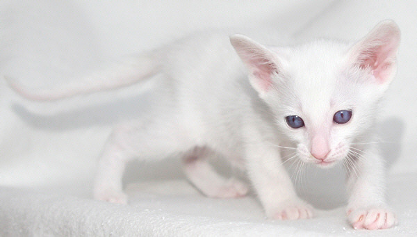 Photo: Carolin Skirl