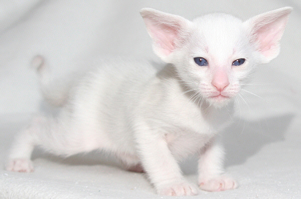 Photo: Carolin Skirl