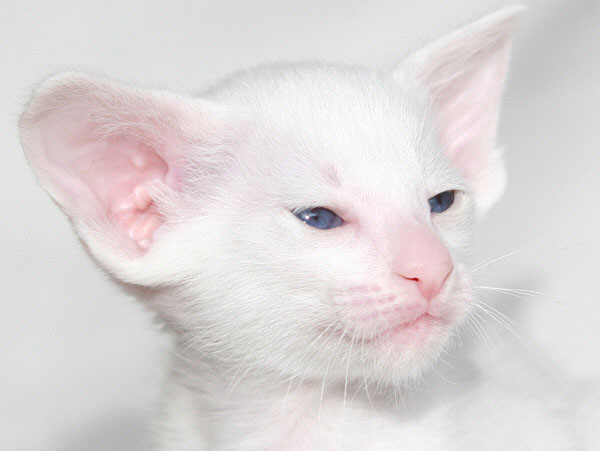 Photo: Carolin Skirl