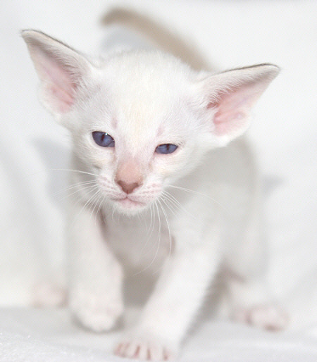 Photo: Carolin Skirl