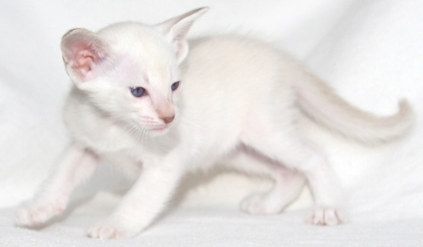 Photo: Carolin Skirl