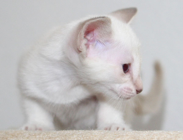 Photo: Carolin Skirl