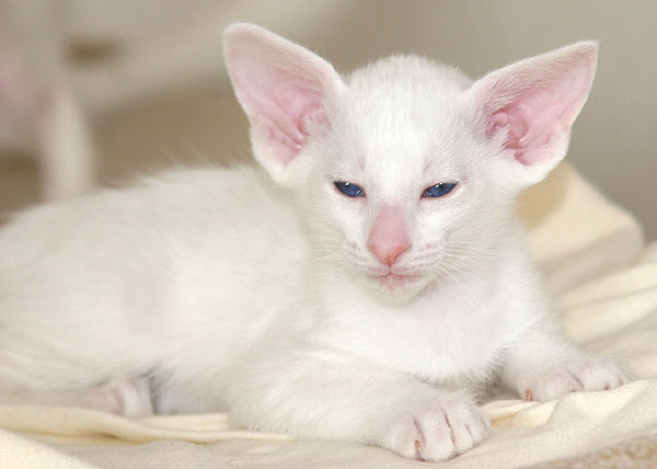 Photo: Carolin Skirl