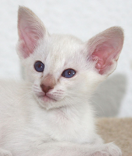 Photo: Carolin Skirl