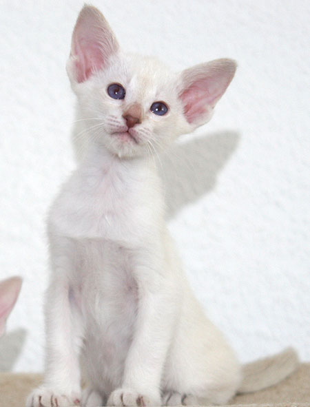 Photo: Carolin Skirl