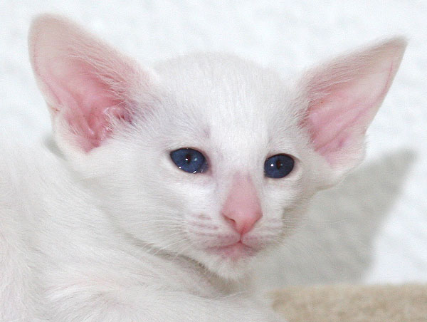 Photo: Carolin Skirl