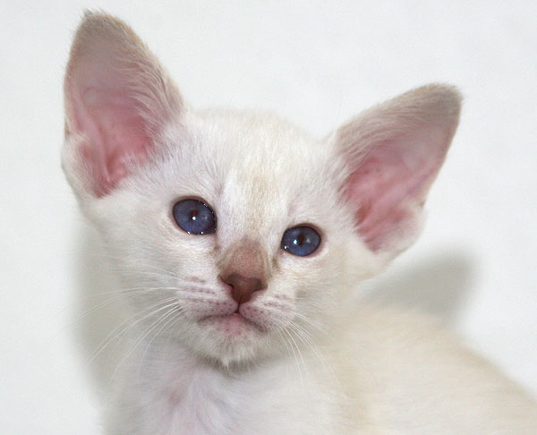 Photo: Carolin Skirl