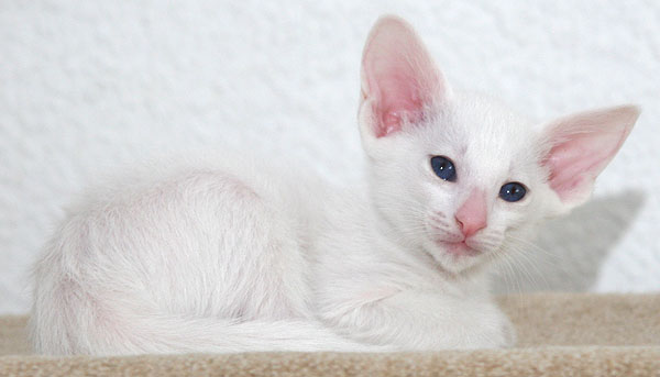 Photo: Carolin Skirl