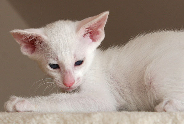 Photo: Carolin Skirl