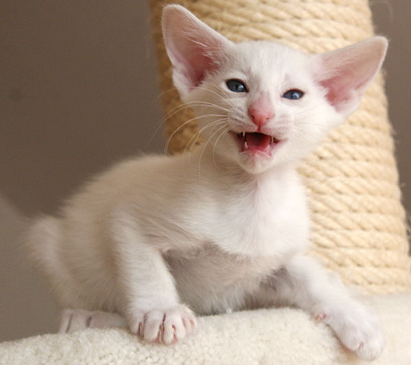 Photo: Carolin Skirl