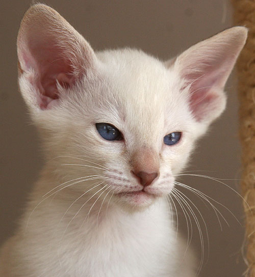 Photo: Carolin Skirl