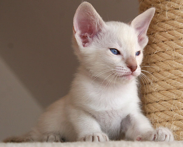 Photo: Carolin Skirl