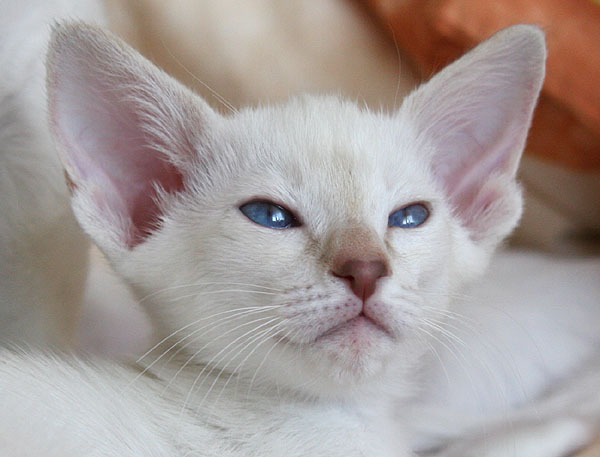 Photo: Carolin Skirl