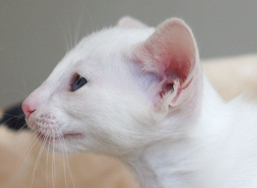 Photo: Carolin Skirl