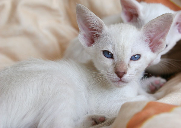 Photo: Carolin Skirl