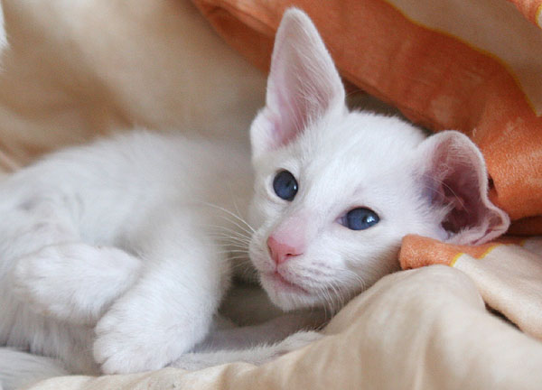 Photo: Carolin Skirl