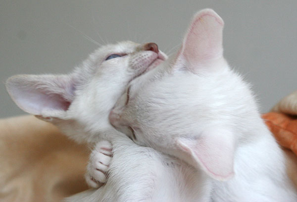 Photo: Carolin Skirl