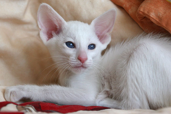 Photo: Carolin Skirl