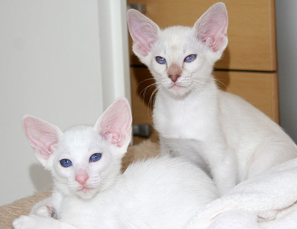 Photo: Carolin Skirl