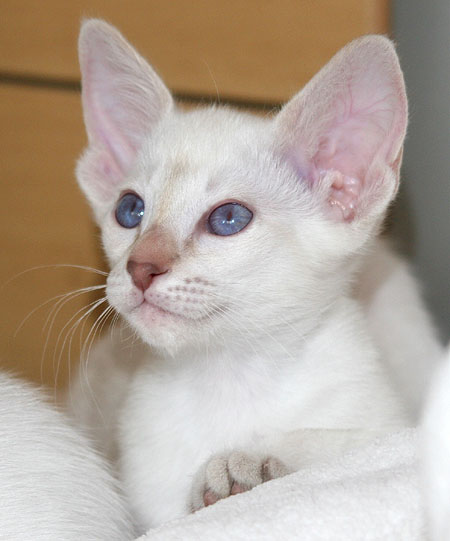 Photo: Carolin Skirl