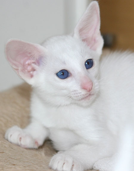 Photo: Carolin Skirl