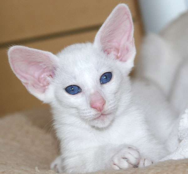 Photo: Carolin Skirl