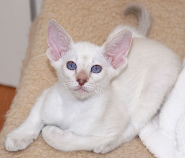 Photo: Carolin Skirl