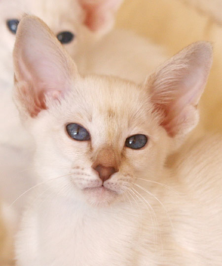 Photo: Carolin Skirl