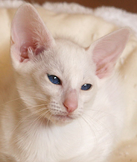 Photo: Carolin Skirl