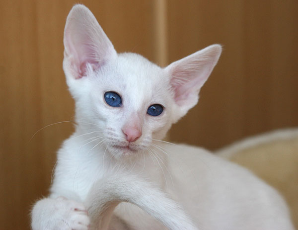 Photo: Carolin Skirl