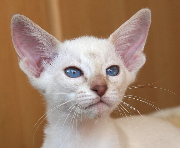 Photo: Carolin Skirl