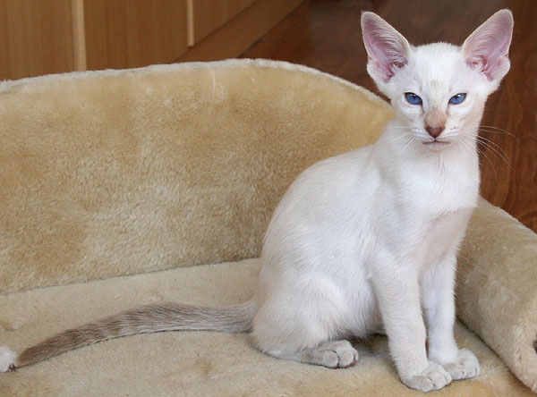 Photo: Carolin Skirl