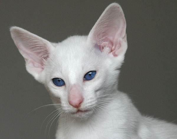 Photo: Carolin Skirl