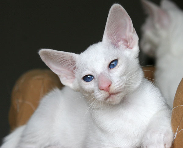 Photo: Carolin Skirl