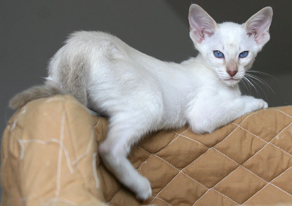 Photo: Carolin Skirl