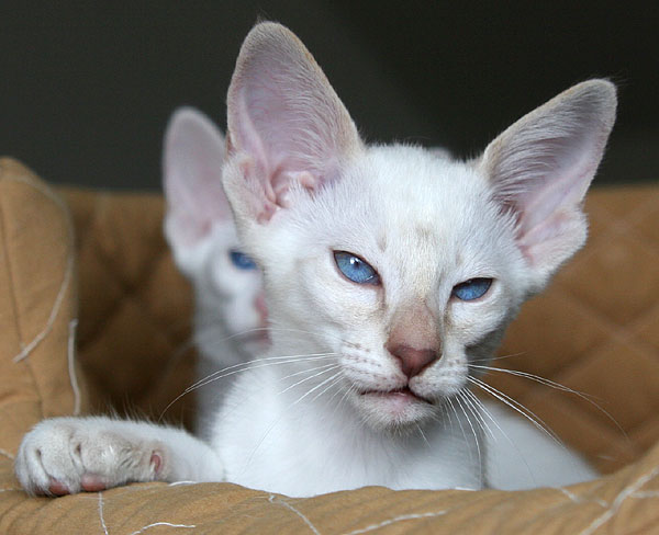 Photo: Carolin Skirl